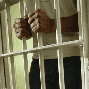 المدون حكم عليه بالسجن لمدة 3 أشهر