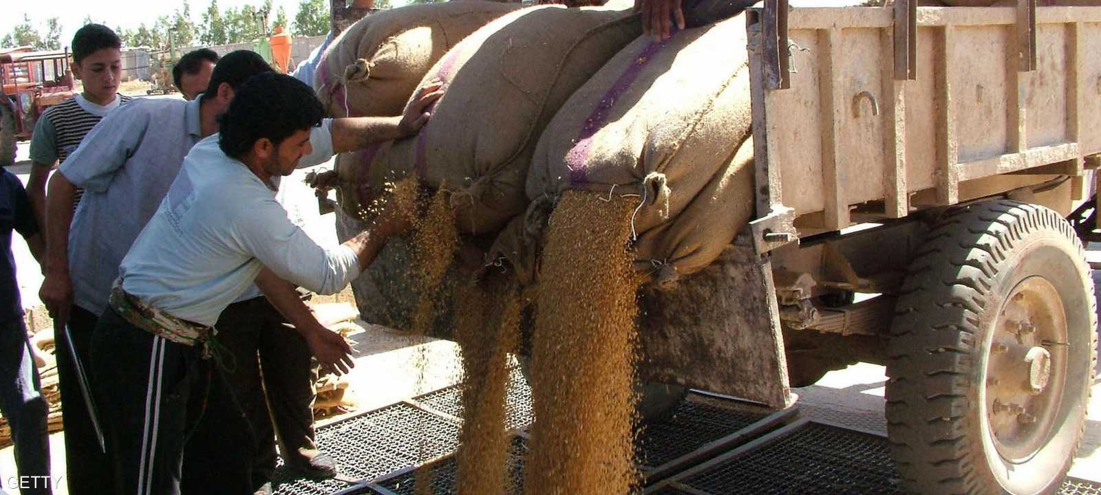 صورة أرشيفية لمحصول حبوب