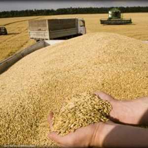 روسيا تشحن 200 ألف طن من الحبوب المجانية إلى 6 دول إفريقية