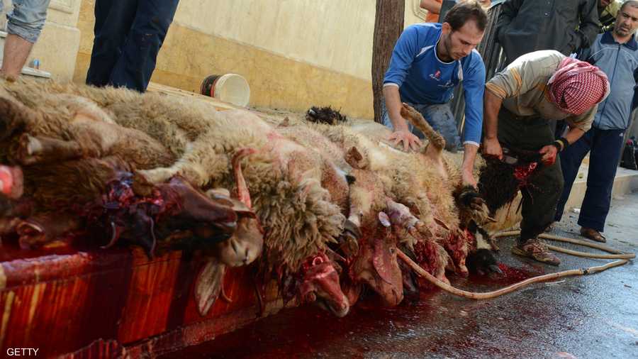 دماء في حلب.. ولكنها هذه المرة لأضاحي العيد