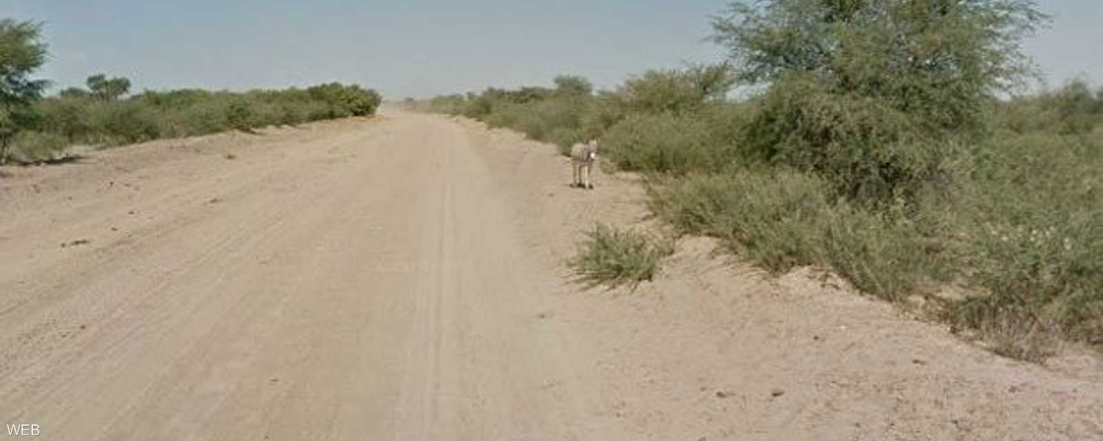 كاميرا غوغل التقطت صورة للحمار قبل أن تقترب منه السيارة