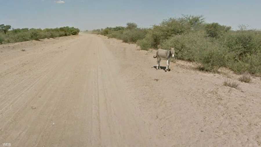 السيارة تقترب أكثر