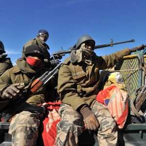 عناصر من جيش مالي (أرشيف)