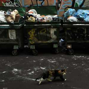 تم العثور على الرضيعين بصندوق قمامة. (أرشيف)