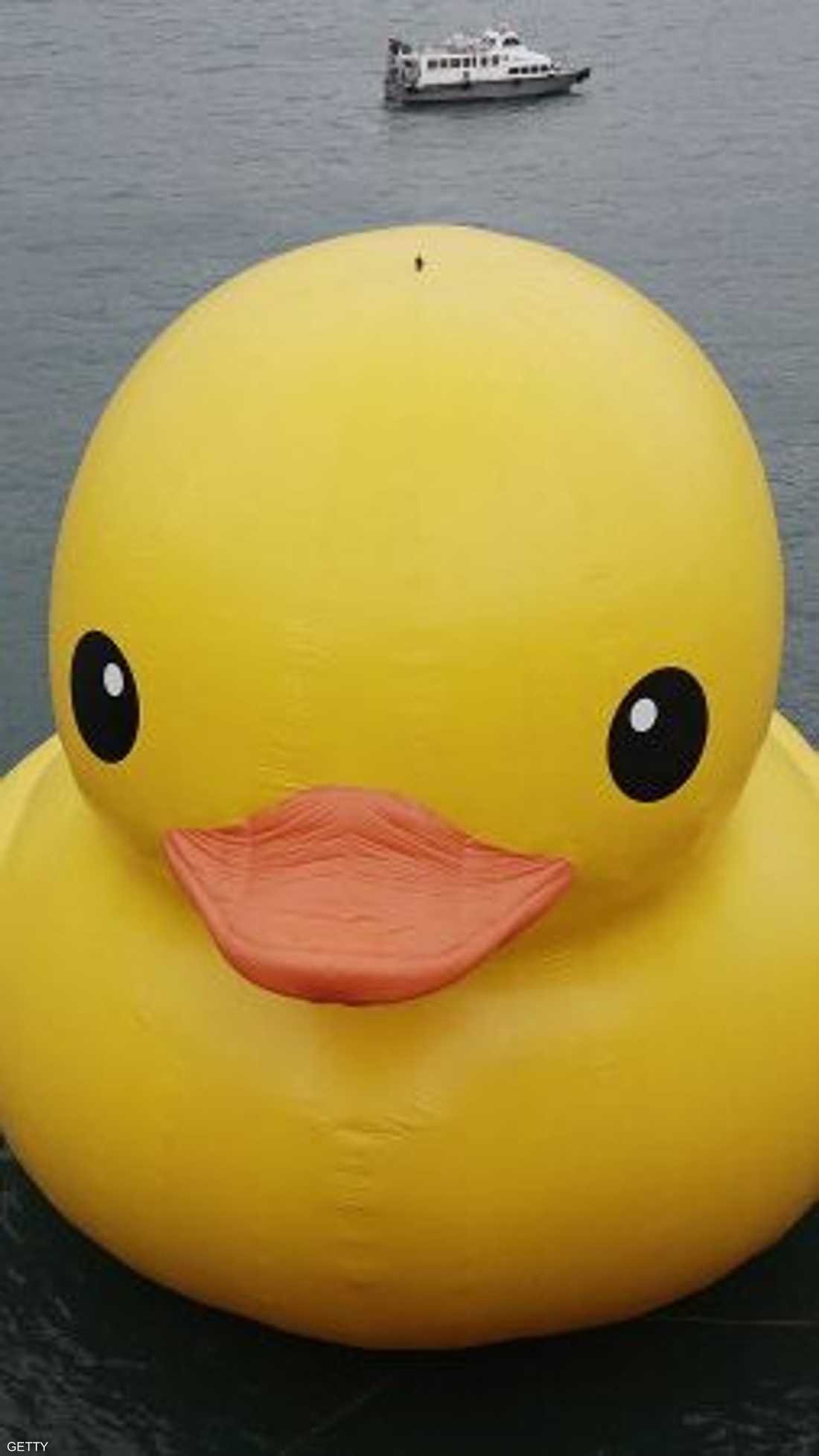 بطة عملاقة صنعت من المطاط لتصنع الفرح للناس