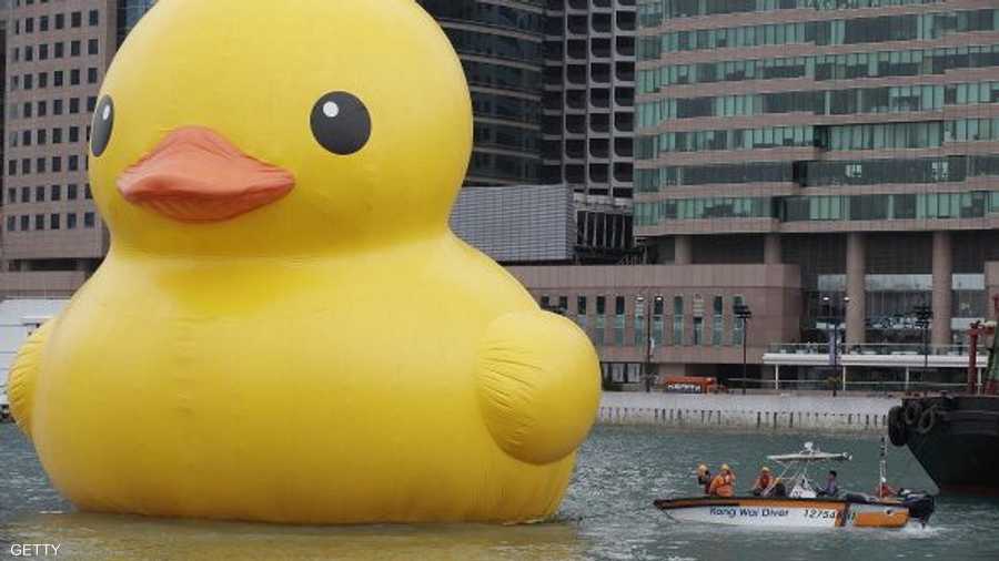 السرور مهنتها