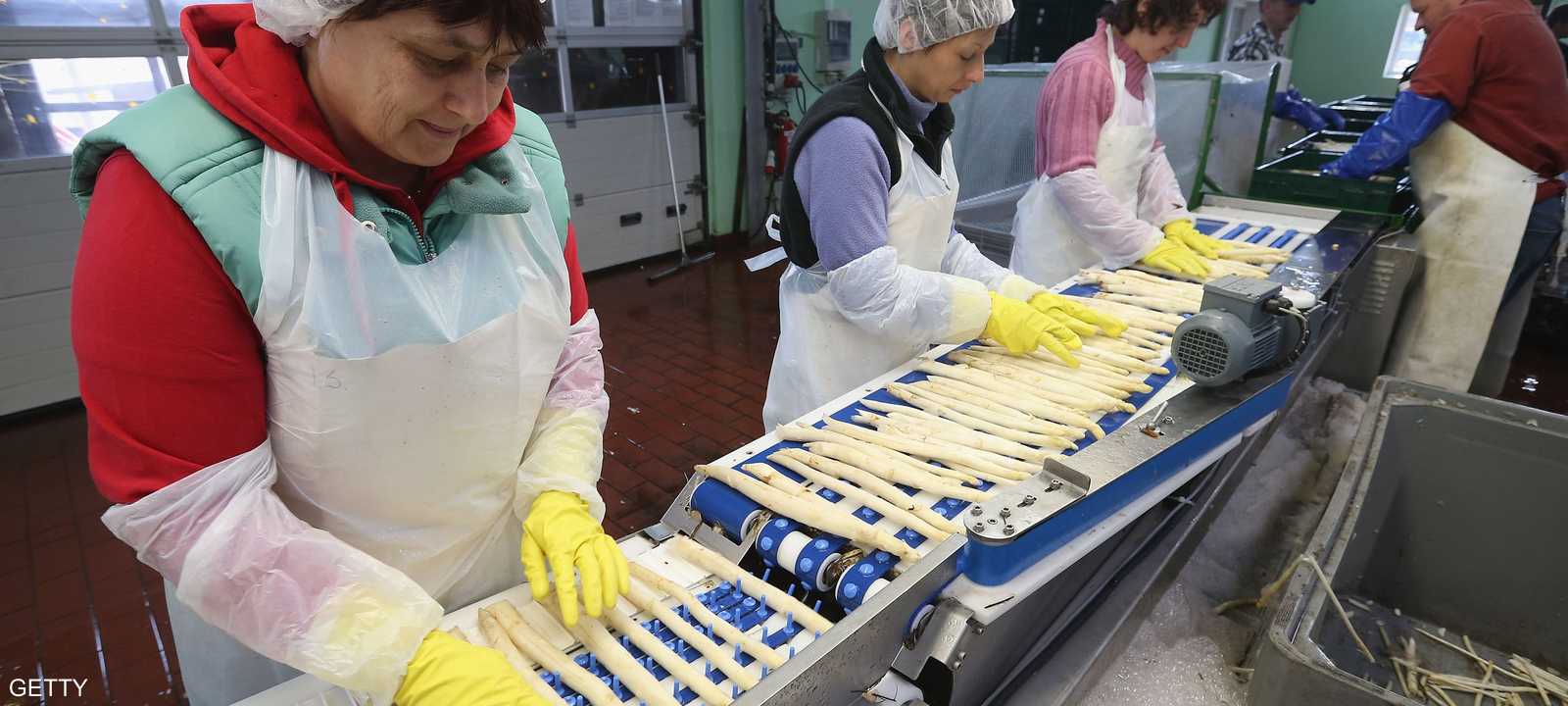 عمال مهاجرون من بولندا يعملون في مصنع تغليف للخضروات في العاصمة الألمانية برلين - 26 أبريل 2013. 