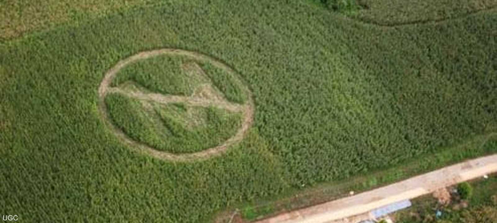 إشارة مناوئة لشركة مونسانتو على أحد الحقول.