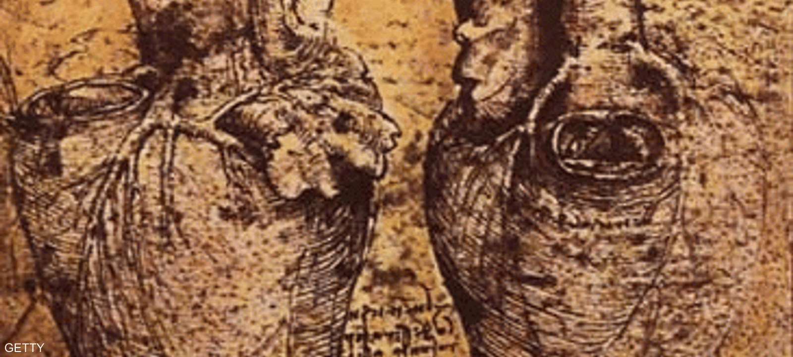 صورة تشريحية للقلب من رسم ليوناردو دافنشي