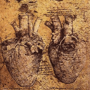 صورة تشريحية للقلب من رسم ليوناردو دافنشي