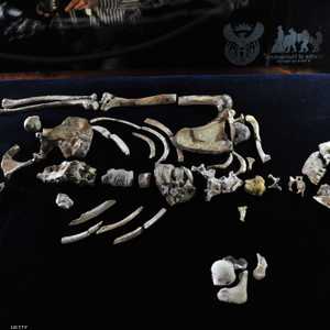 بحث حديث أثبت أن الأميركيين الأصليين لهم روابط وراثية وثيقة بالسكان في أوراسيا والشرق الأوسط وأوروبا