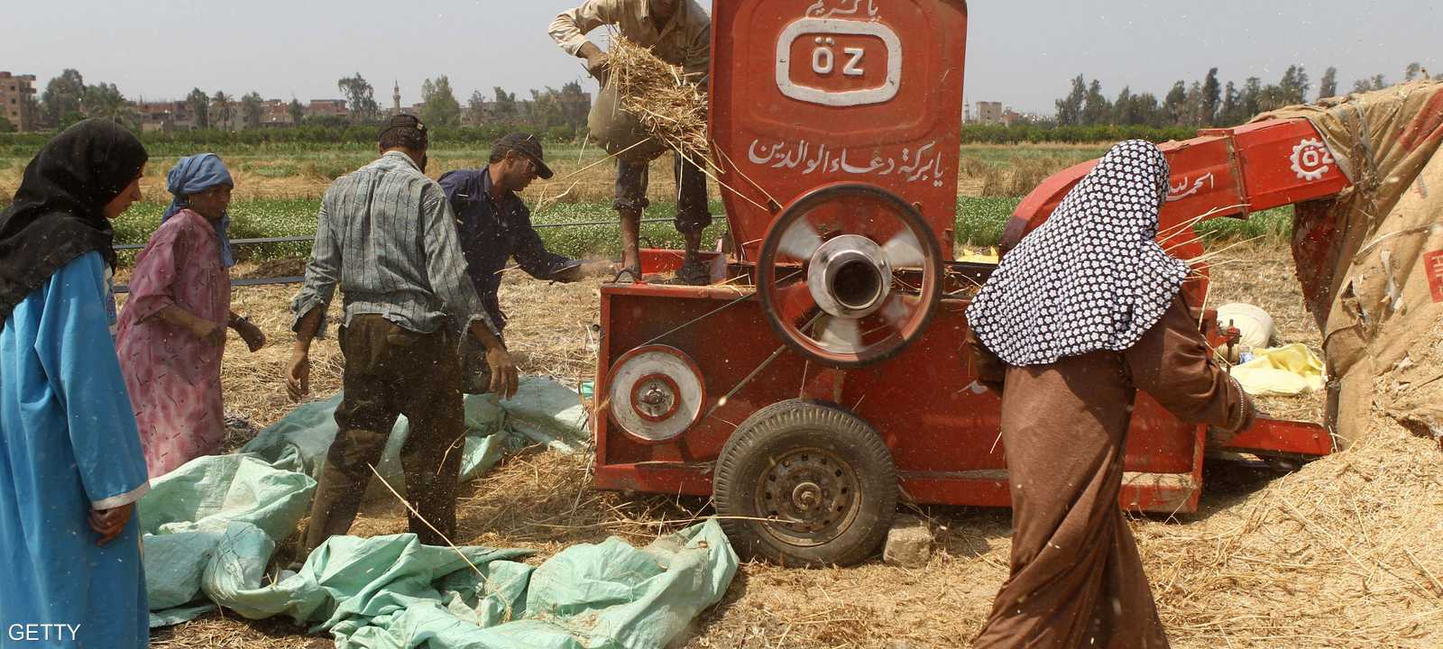 مصريون يقومون بحصاد القمح - أرشيف