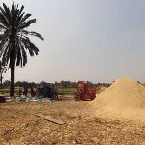 مصر تسعى لتأمين القمح من مصادر بديلة