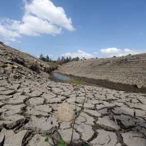 البنك الدولي: أزمة المناخ ستدفع 100 مليون شخص إضافي للفقر