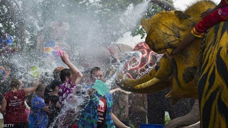 تشارك الأفيال التي ترش المياه على الحضور في المهرجان 