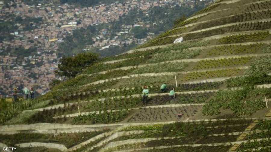 بعد أن كان مكرهة صحية أصبح مشروعا للحفاظ على البيئة
