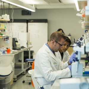 صورة أرشيفية لعلماء يجرون أبحثا على الجينوم 