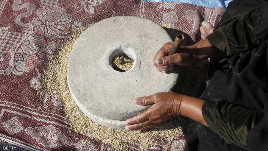 امرأة تضرس القمح من أجل هرسه.