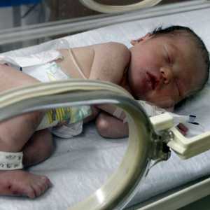 محكمة رأت أن تسمية الأطفال وفق أحد أنواع الطعام من شأنه أن يضر يجعله عرضة للسخرية مستقبلا 