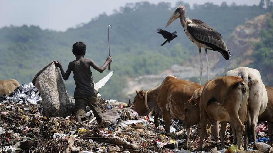 المخلفات والقمامة من أكثر أسباب تلوث البيئة انتشارا