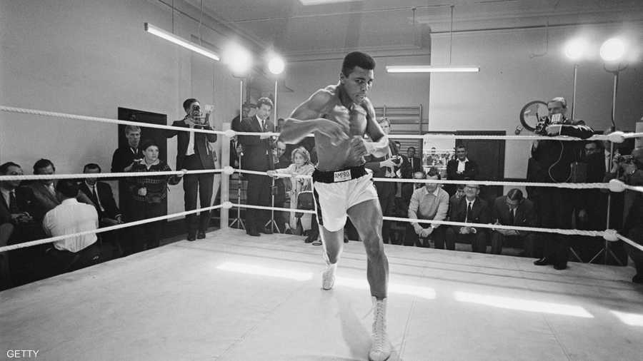 يطير كالفراشة ويلسع كالنحلة