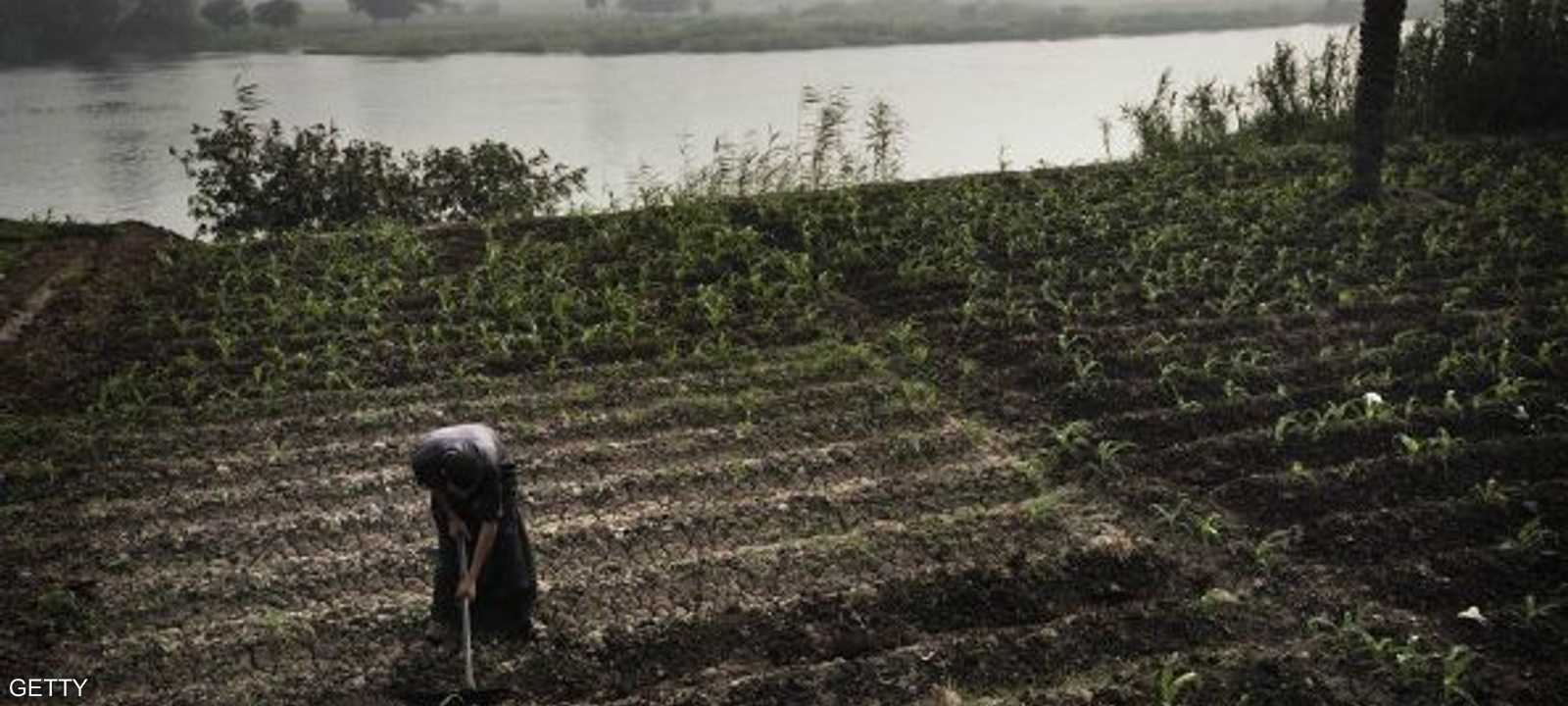 العالم العربي يعتمد على استيراد احتياجاته الغذائية الأساسية