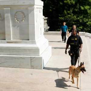 تضطلع الكلاب بمهام أمنية في البيت الأبيض وهي جزء من وحدة الحماية السرية