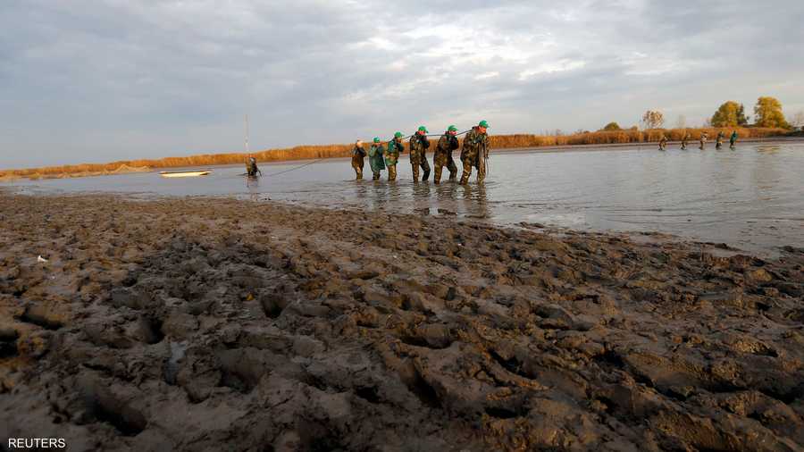 الصيادون يتجهون إلى الشاطيء
