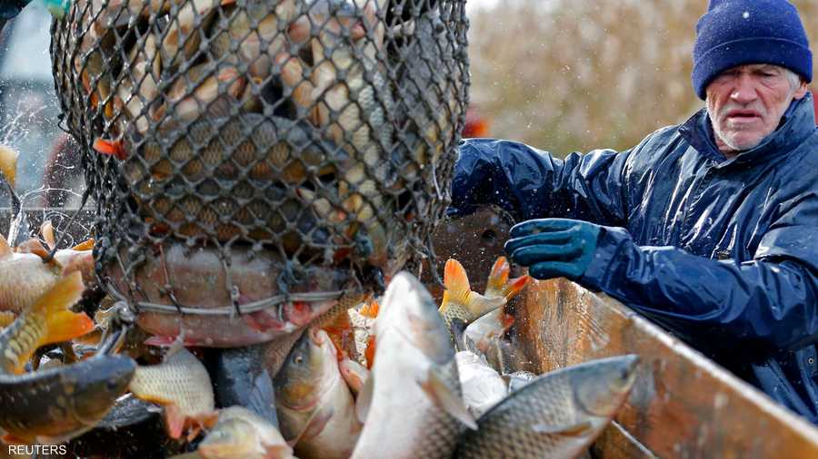 صياد يحصي عدد الأسماك التي قام بصيدها