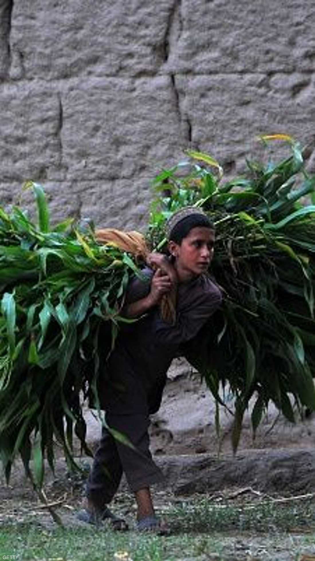 طفل أفغاني يعمل حمالا