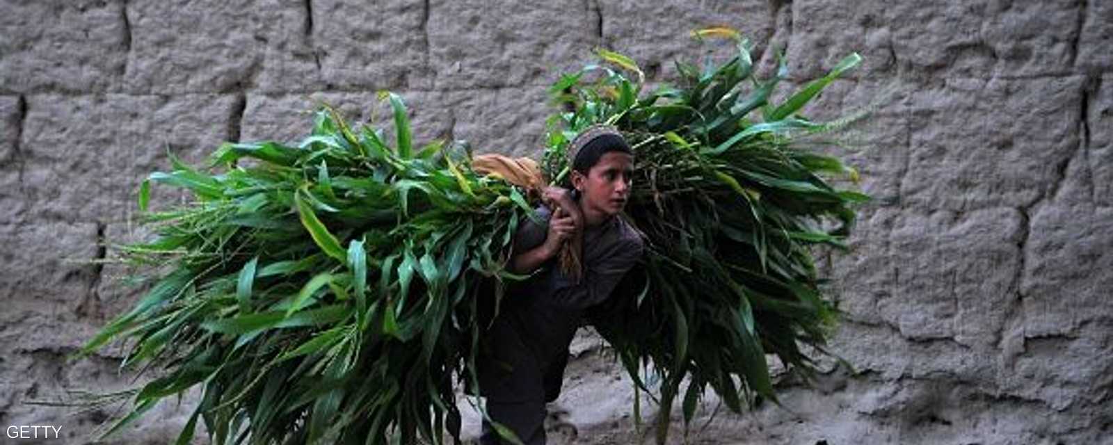طفل أفغاني يعمل حمالا