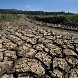 الجفاف أثر على محاصيل البن البرازيلي 