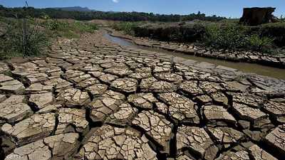 الجفاف أثر على محاصيل البن البرازيلي 