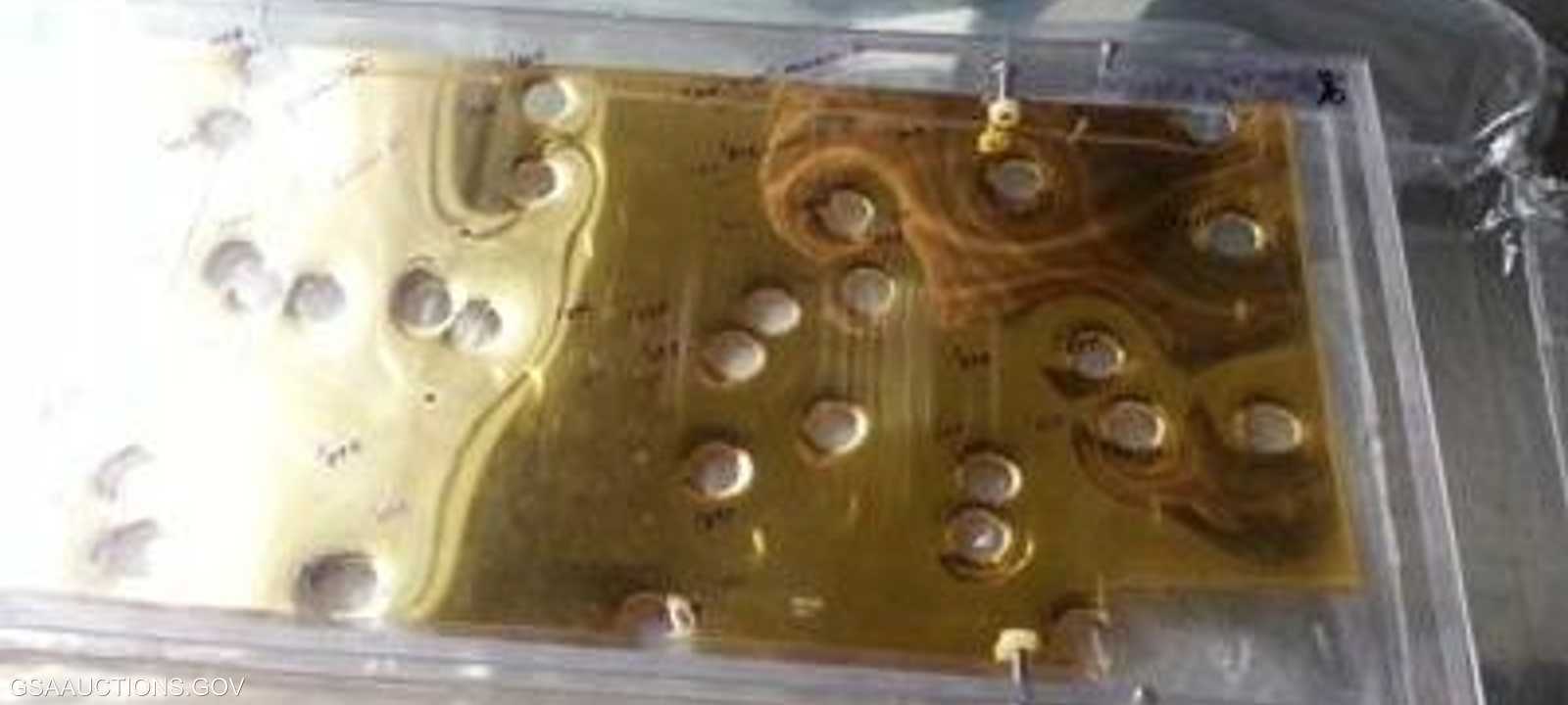 صورة إحدى الصفائح الذهبية التي عرضها موقع أميركي للمزادات.