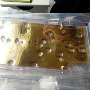 صورة إحدى الصفائح الذهبية التي عرضها موقع أميركي للمزادات.