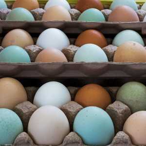 البيض لتعويض النقص الحاد في كوريا الجنوبية