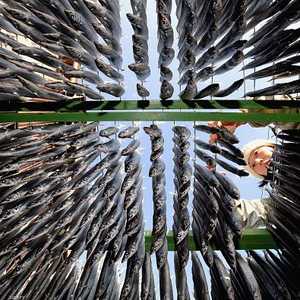 وزارة الصحة المصرية تقول إن طريقة تحضير الفسيخ غير آمنة