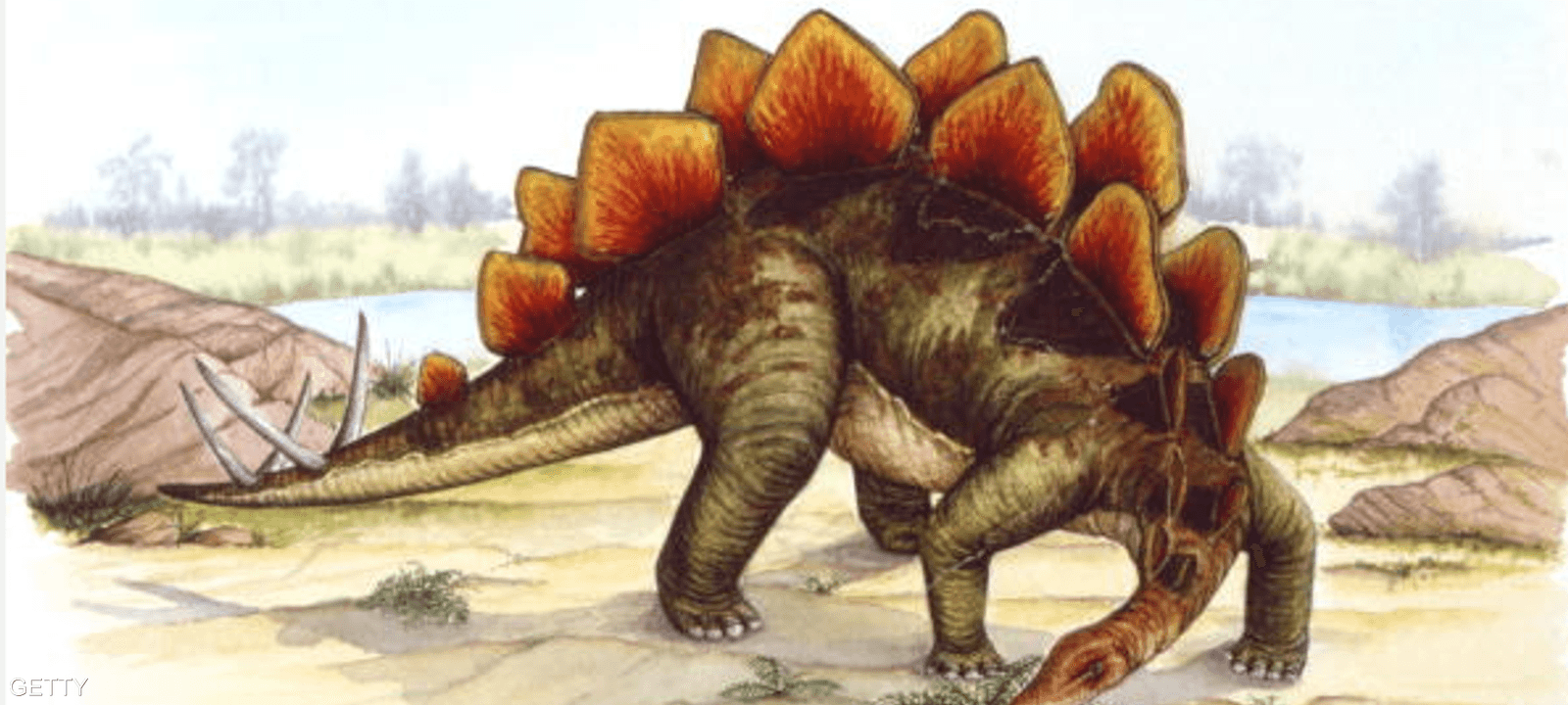 الديناصور ستيجوسورس شبيه تيرانوصورركس