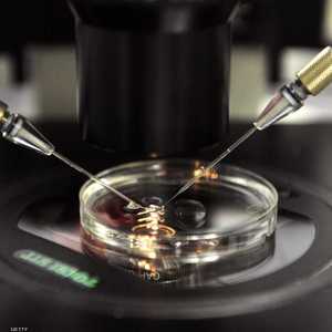 العلماء الفرنسيون نجحوا في توليد حيوان منوي مخبريا