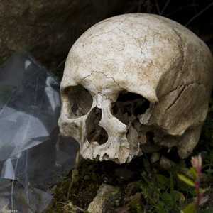 الجمجمة التي تم العثور عليها في المكسيك هي الأقدم في الأميركيتين (الصورة أرشيفية)