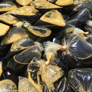 ينقسم الناس بين مصدق بفوائد العرقسوس وبين خائف من مضاره