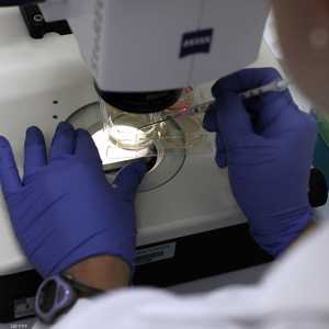 الأميبا تؤثر على البشر بعد أن تدخل إلى الجسم من خلال فتحتي الأنف، الأمر الذي غاليا ما يحدث عند الغطس أو وضع الرأس تحت الماء - أرشيفية