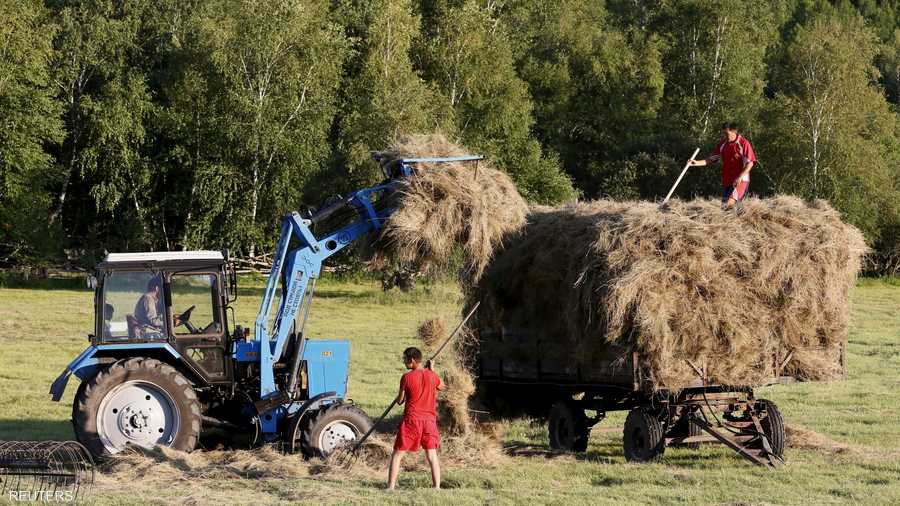 عمال المزارع يجمعون القش في منطقة سيبيريا التايغا جنوب غربي مدينة أباكان التابعة لخقاسيا