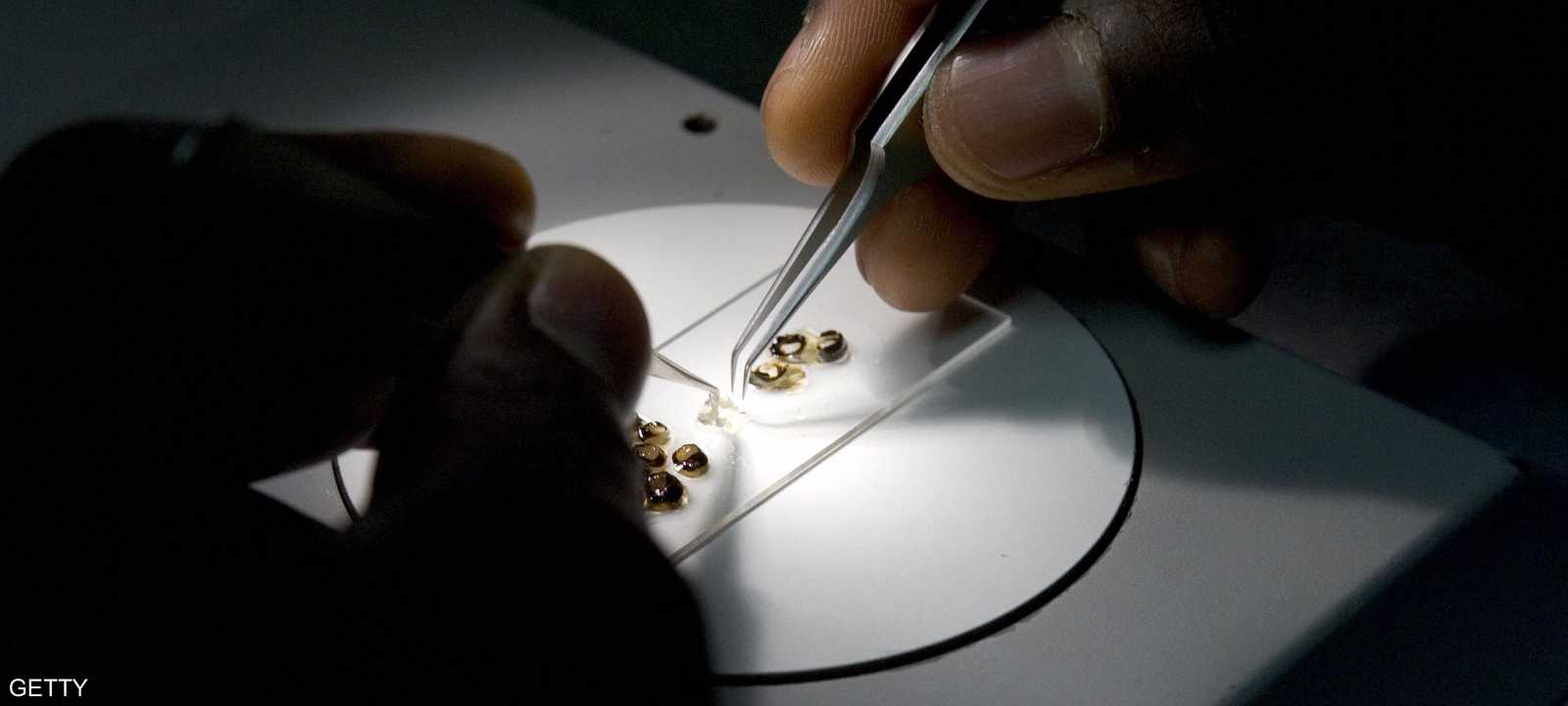 الشركات ذهبت إلى هذا الاتجاه مدفوعة بالأرباح الضخمة المتوقعة.