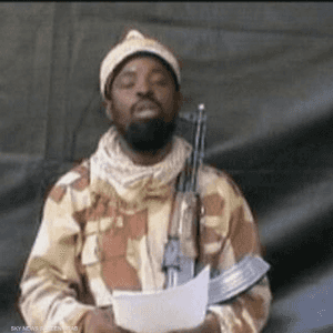 أبو بكر شيكاو