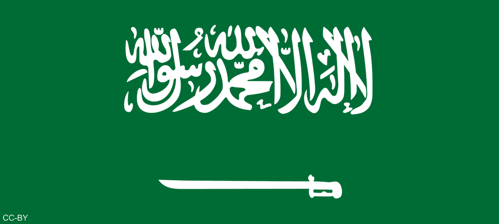 قرار مجلس الوزراء يشمل كل مرافق و تابع للعاملين الوافدين