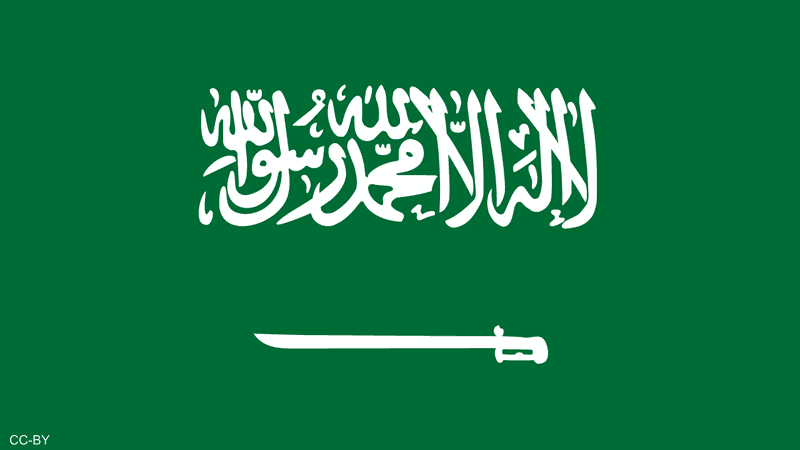 امن الدولة السعودية
