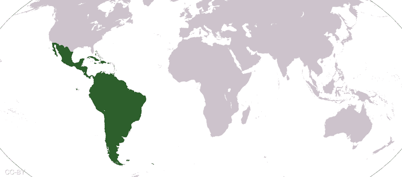 أميركا اللاتينية