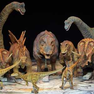 العلماء اكتشفوا أنماطا جديدة في حياة الديناصورات (أرشيف)