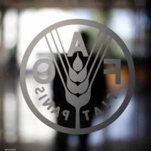 شعار منظمة الأغذية والزراعة (فاو)